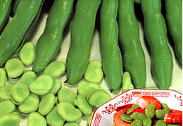 4月の旬「そらまめ」