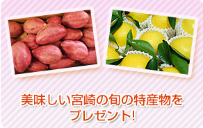 美味しい宮崎の旬の特産物をプレゼント!