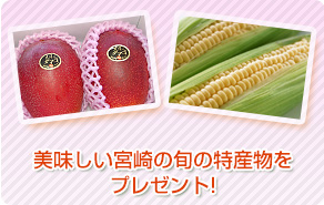 美味しい宮崎の旬の特産物をプレゼント!