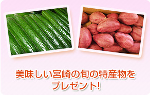 美味しい宮崎の旬の特産物をプレゼント!