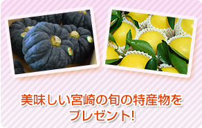 美味しい宮崎の旬の特産物をプレゼント!