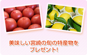 美味しい宮崎の旬の特産物をプレゼント!