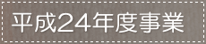 24Nx