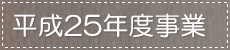 25Nx