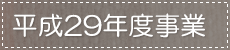 29Nx
