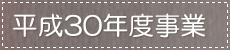 30Nx