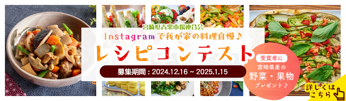 CX^Oŉ䂪Ƃ̗VsReXgBW2024N12162025N115܂