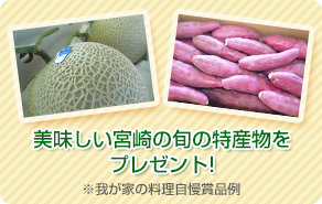 美味しい宮崎の旬の特産物をプレゼント!※我が家の料理自慢賞品例