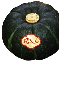 黒皮かぼちゃ みやざきの農作物事典 宮崎県青果市場連合会 とれたてもぎたて九州みやざき