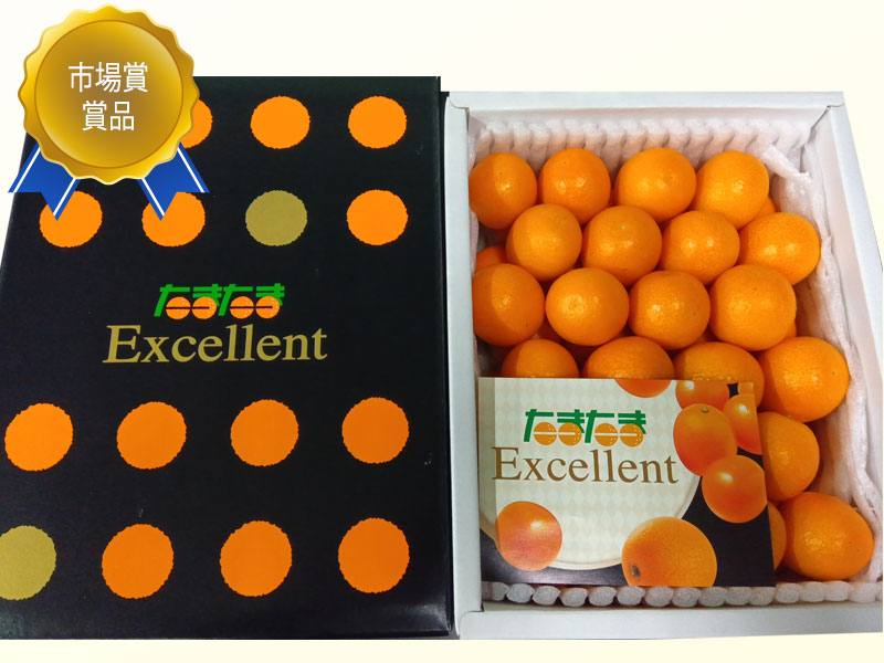 たまたまエクセレント化粧箱入りの写真