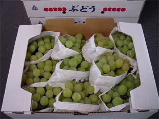 2004年8月の宮崎の旬は翠峰(すいほう)です。