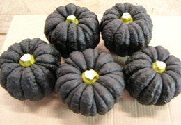2006年3月の宮崎の旬は黒皮かぼちゃ です。