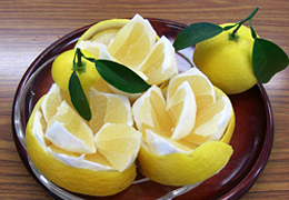 2009年2月の宮崎の旬は日向夏です。