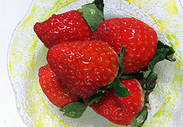 2010年12月の宮崎の旬はイチゴです。