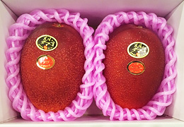 2014年5月の宮崎の旬はマンゴーです。