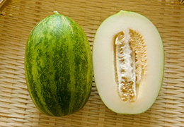 2016年5月の宮崎の旬はパパイヤメロンです。