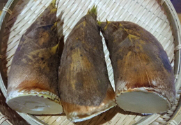 2018年4月の宮崎の旬はたけのこです。
