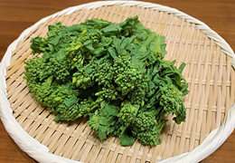 2019年3月の宮崎の旬は菜の花です。