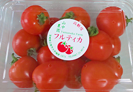 2019年4月の宮崎の旬はフルティカです。