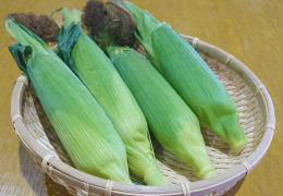 2019年6月の宮崎の旬はとうもろこしです。