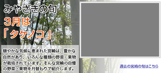みやざきの旬3月はタケノコです。